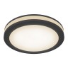 Точечный светильник Phanton DL303-L12B