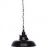 Подвесной светильник Proddi LDP 11687 BK
