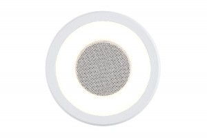 Точечный светильник 92096