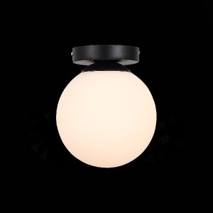 Настенно-потолочный светильник Acini SL717.401.01