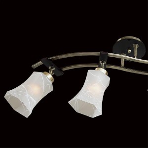 Потолочная люстра Мерида CL142143