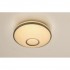 Потолочный светильник Luna CL70220W