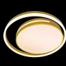 Потолочный светильник LED LAMPS LED LAMPS 81304