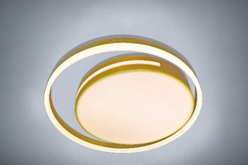 Потолочный светильник LED LAMPS LED LAMPS 81304
