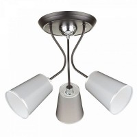 Потолочная люстра Odri FR5030CL-03B