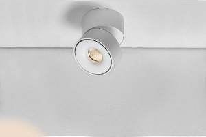 Точечный светильник LD DL-140-12-WH-WW