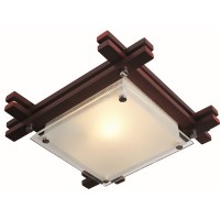 Настенно-потолочный светильник Edison 48324