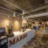 Трековый светильник 3Ph EURO SPOT 1001480