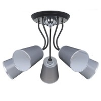 Потолочная люстра Odri FR5030CL-05B