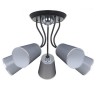 Потолочная люстра Odri FR5030CL-05B