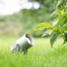 Грунтовый светильник Garden 24 107713