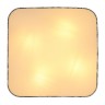 Потолочный светильник Paco 15185D8