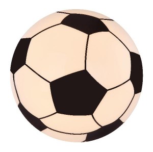 Потолочный светильник Lemmi 54009D1