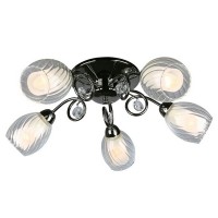 Потолочная люстра Anjou OML-31607-05
