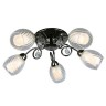 Потолочная люстра Anjou OML-31607-05