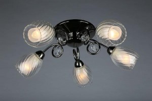 Потолочная люстра Anjou OML-31607-05