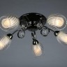 Потолочная люстра Anjou OML-31607-05