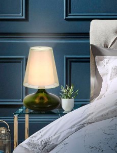 Интерьерная настольная лампа Ampolla SL974.904.01