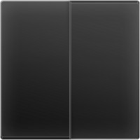 Выключатель Черный матовый WL08-SW-2G-2W