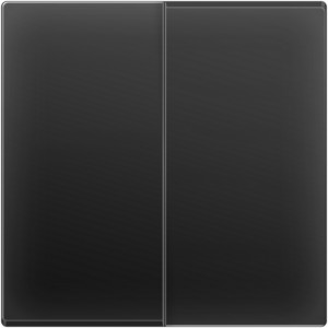 Выключатель Черный матовый WL08-SW-2G-2W
