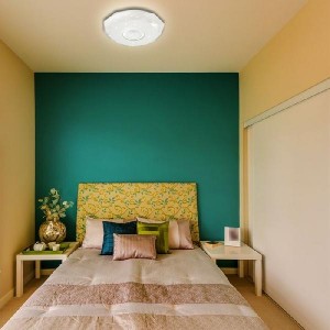 Настенно-потолочный светильник Prisa 2057/EL