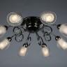 Потолочная люстра Anjou OML-31607-08