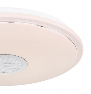 Потолочный светильник Connor 41386-24L