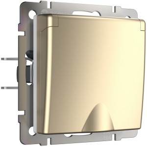 Розетка  WL11-SKGSC-01-IP44
