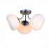 Потолочная люстра Arancio SL482.502.03