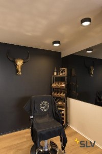 Точечный светильник FERA 25 DALI 1002968