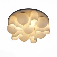 Потолочный светильник Schiuma SL539.502.16