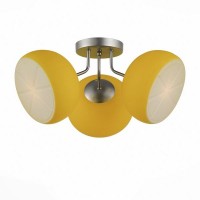 Потолочная люстра Arancio SL482.902.03