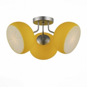 Потолочная люстра Arancio SL482.902.03
