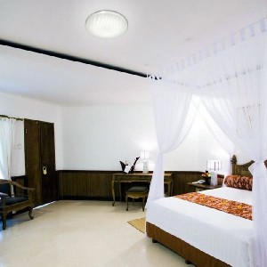 Настенно-потолочный светильник Wave 2040/DL