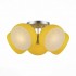Потолочная люстра Arancio SL482.902.05