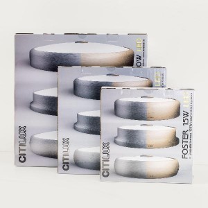 Потолочный светильник Фостер-2 CL706221