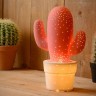 Интерьерная настольная лампа Cactus 13513/01/66