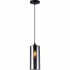 Подвесной светильник Pamella TL1222H-01SM