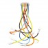 Потолочная люстра Roots LOFT1714-RGB