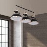 Подвесной светильник Batore LDP 274-3 BK