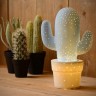 Интерьерная настольная лампа Cactus 13513/01/68