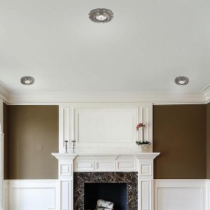 Точечный светильник Vintage 369855