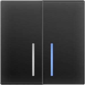Выключатель Черный матовый WL08-SW-2G-2W-LED