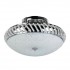 Потолочная люстра Adrianna TL1460Y-03GC