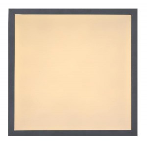 Потолочный светильник Doro 416080D1