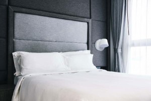 Спот Хартвиг 717020601