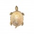 Настенный светильник Turtle 2254-1W