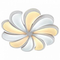 Потолочный светильник Led 10204/10LED