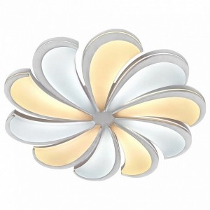 Потолочный светильник Led 10204/10LED