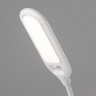 Офисная настольная лампа Soft 80503/1
